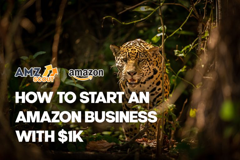 How to Start an Amazon Business With $1k and Earn $2k in 6 Weeks